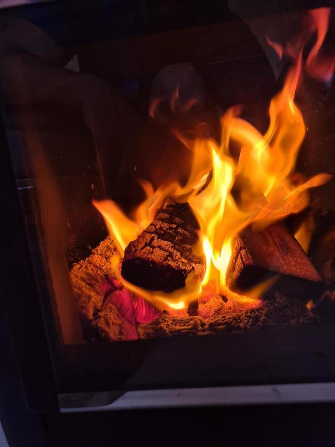 Stetind Hostel Narvik Dış mekan fotoğraf